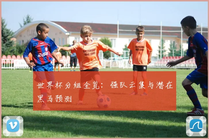 世界杯分组全览：强队云集与潜在黑马预测