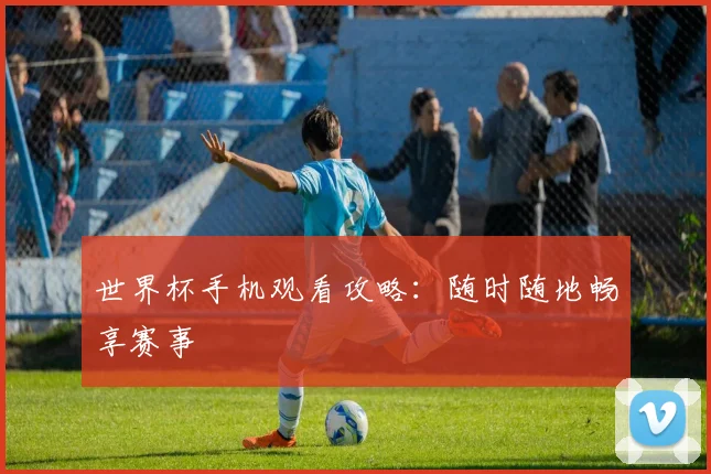 世界杯手机观看攻略：随时随地畅享赛事